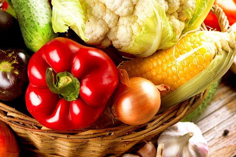 time00-kopie – obnovený – obnovený222