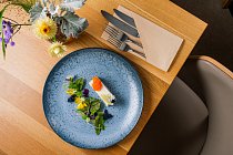 CESKY-LES-SRPEN-219-