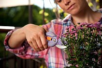fiskars inspiration 4