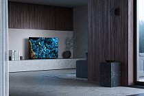 insitu-A80L-65-Large