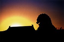 foto sonnenuntergang