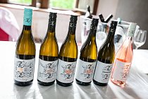 Praha-pije-vino3