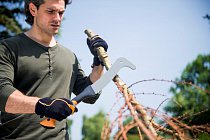 126004_branch cutting 2_16103