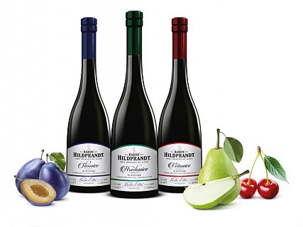 000-obnoveny-obnoveny