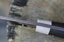 IMG-0217