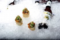 a_DSC0237