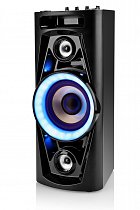 Party speaker