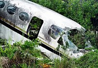 Flight 462