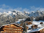 1_chalupy-Alpbach