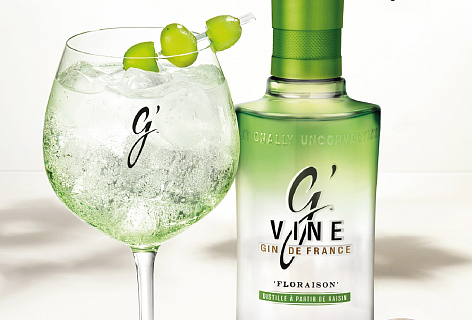 gvine-oceneni
