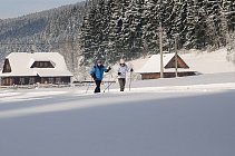 lanterna-bezky-007-websize